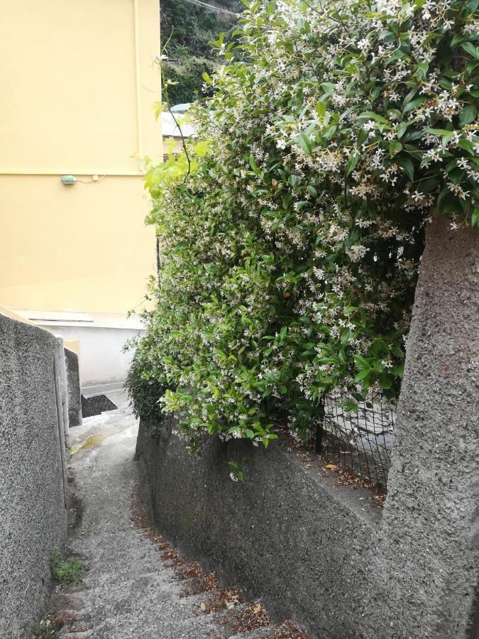 Affittacamere Le Oche Riomaggiore Ngoại thất bức ảnh